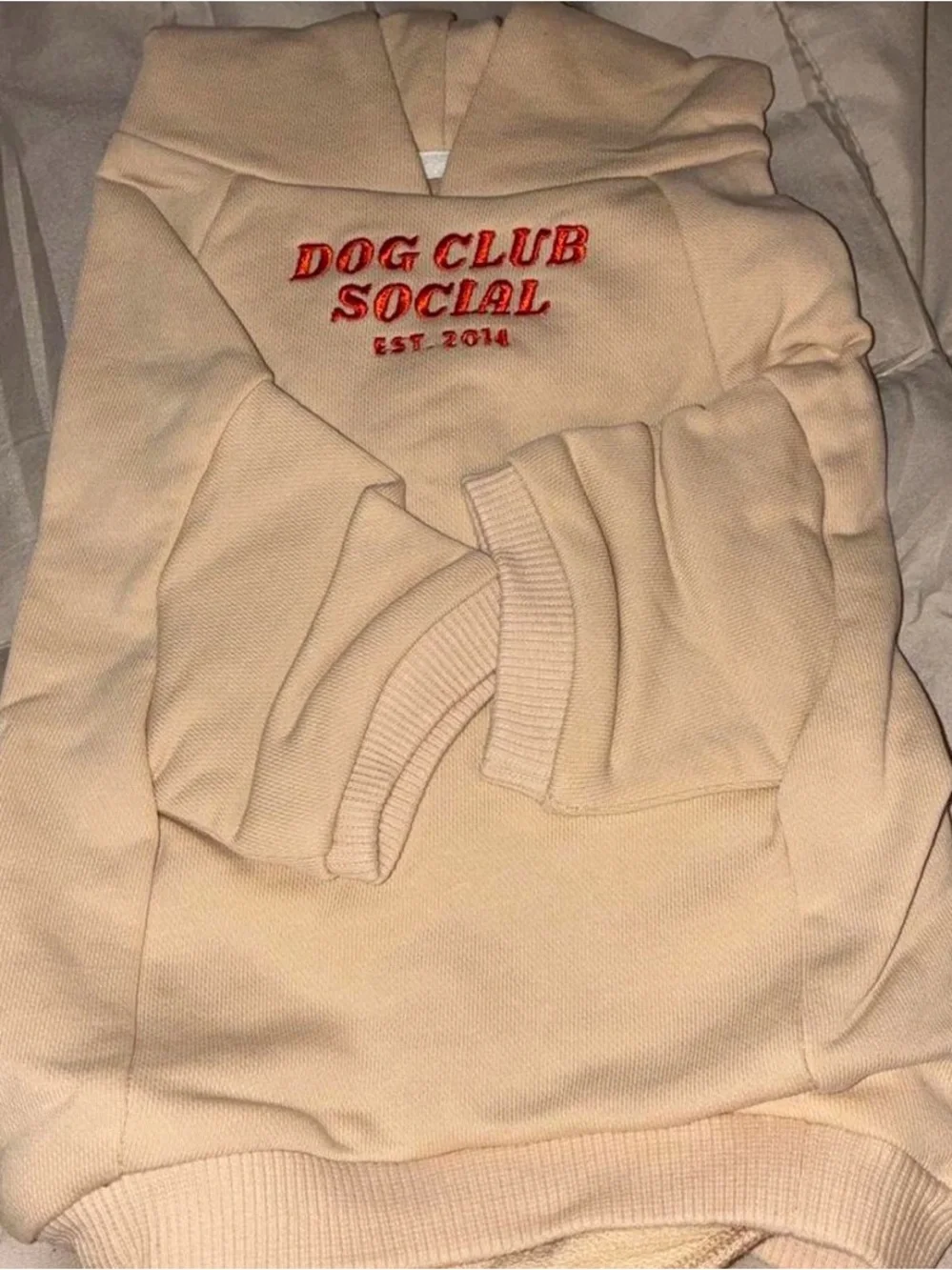 Dog Club Social Cream Hoodie